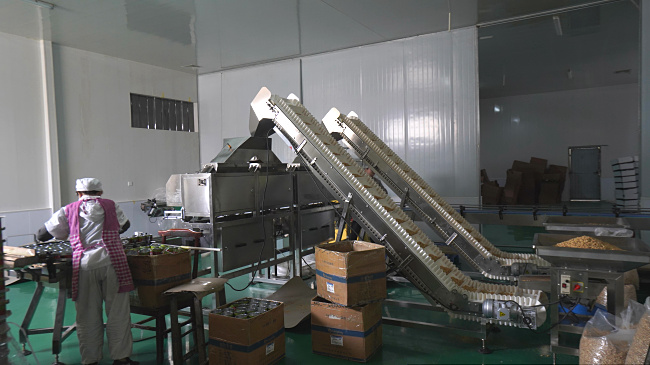 Canning equipme...