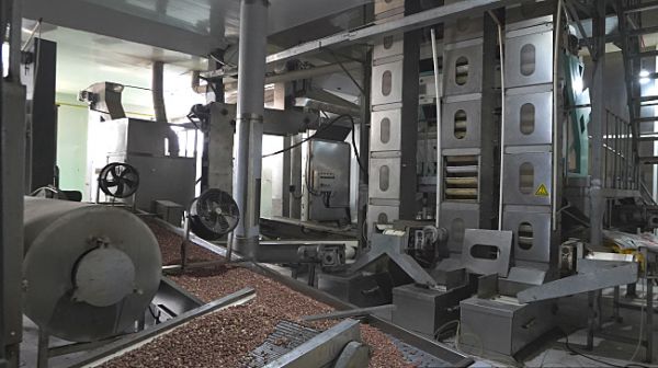Roasting worksh